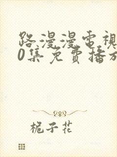 路漫漫电视剧40集免费播放