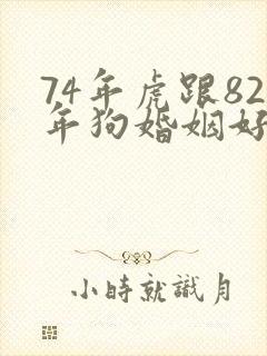 74年虎跟82年狗婚姻好不好