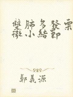 双肺多发栗粒状微小结节