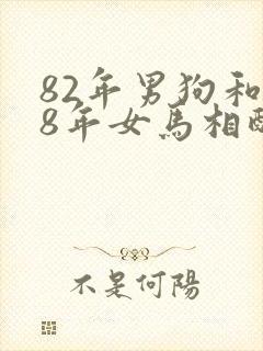 82年男狗和78年女马相配婚姻如何封面