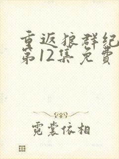 重返狼群纪念版第12集免费