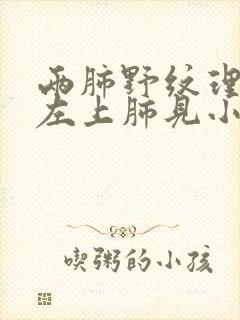 两肺野纹理增多左上肺见小结节影