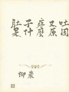 肚子疼又吐又拉是什么原因引起的