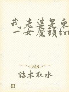 我老婆是东晋第一女魔头txt下载