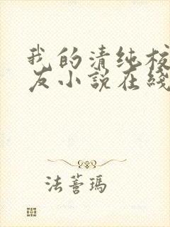 我的清纯校花女友小说在线阅读