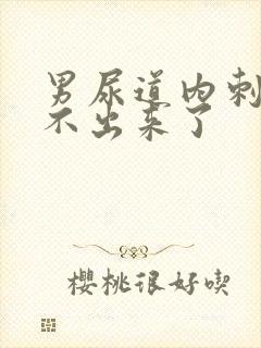 男尿道内刺痛尿不出来了封面