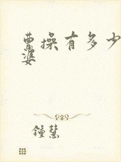 曹操有多少个老婆封面