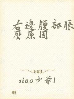 右边腹部胀痛什么原因