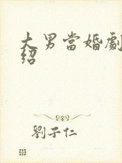 大男当婚剧情介绍