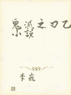 鬼灭之刃乙女向小说