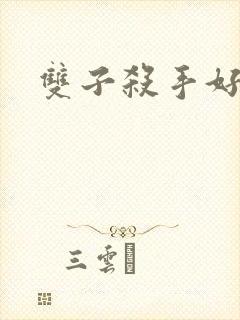 双子杀手好看吗