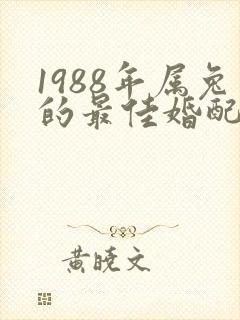 1988年属兔的最佳婚配属相