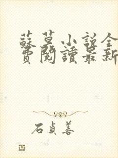 苏莫小说全文免费阅读最新章节