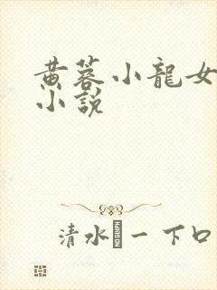 黄蓉小龙女落难小说