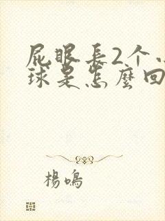屁眼长2个小肉球是怎么回事封面