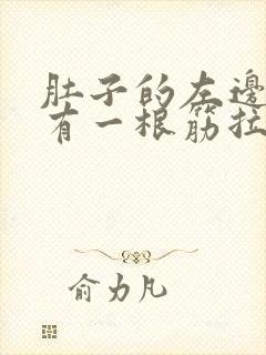 肚子的左边感觉有一根筋拉着痛