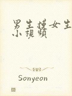 男生摸女生的胸小视频封面