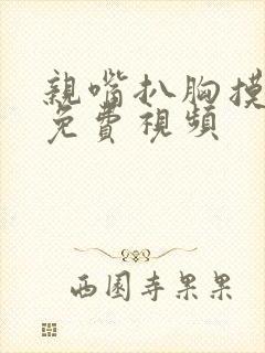 亲嘴扒胸摸屁股免费视频