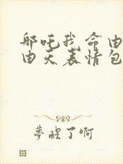 哪吒我命由我不由天表情包