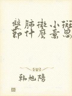 双肺微小斑点结节什么意思