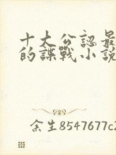 十大公认最好看的谍战小说