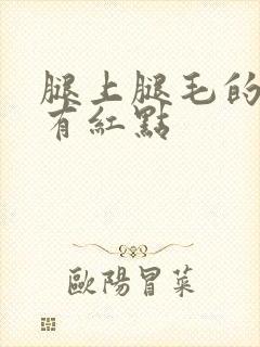 腿上腿毛的毛囊有红点