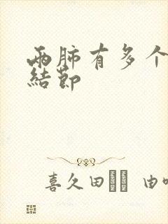 两肺有多个微小结节