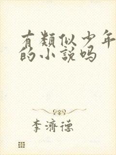 有类似少年阿宾的小说吗