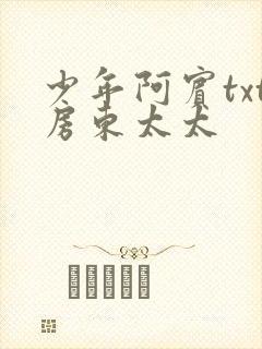 少年阿宾txt房东太太