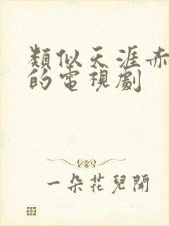 类似天涯赤子心的电视剧