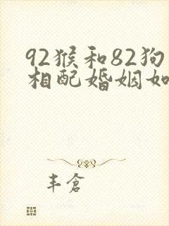 92猴和82狗相配婚姻如何