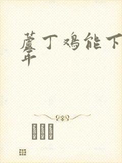 芦丁鸡能下蛋几年