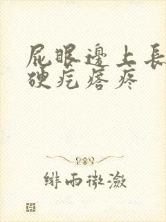 屁眼边上长一个硬疙瘩疼