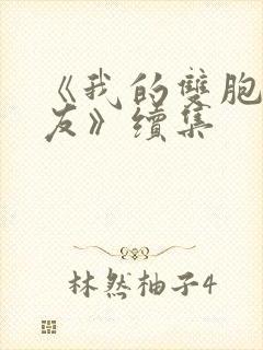 《我的双胞胎女友》续集