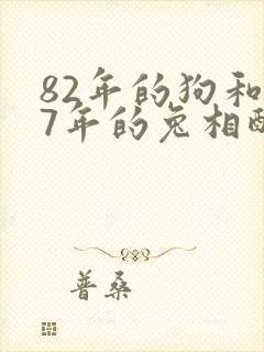 82年的狗和87年的兔相配吗封面