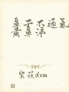 鼻子不通气,流黄鼻涕