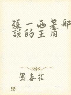 张一西是哪部小说的主角