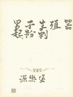 男子生殖器根部起粉刺