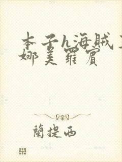 本子h海贼王h娜美罗宾