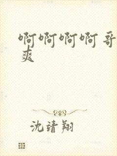 啊啊啊啊哥哥好爽封面