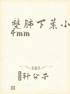 双肺下叶小结节4mm