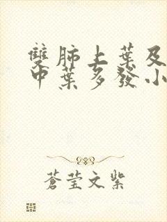 双肺上叶及右肺中叶多发小结节