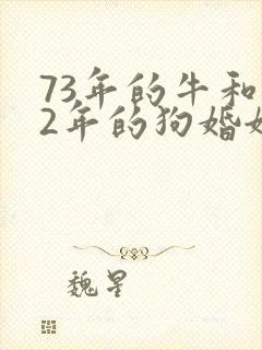 73年的牛和82年的狗婚姻合适吗