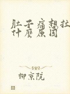 肚子痛想拉大便什么原因封面