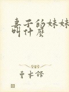 妻子的妹妹丈夫叫什么