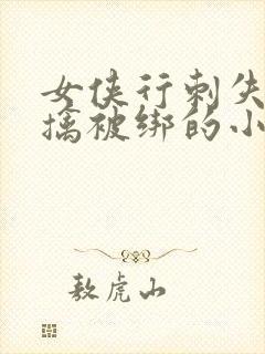 女侠行刺失败被擒被绑的小说