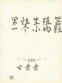 男性生殖器长了一个小肉粒