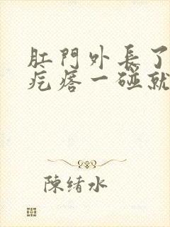 肛门外长了个硬疙瘩一碰就疼封面