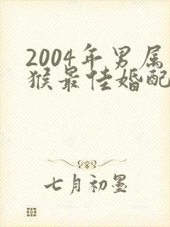 2004年男属猴最佳婚配属相封面