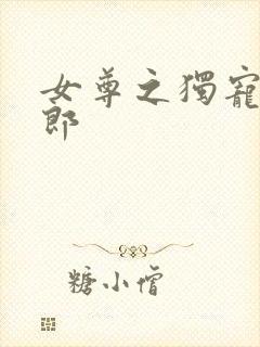 女尊之独宠丑夫郎